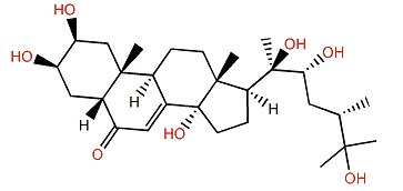 24-epi-Makisterone A